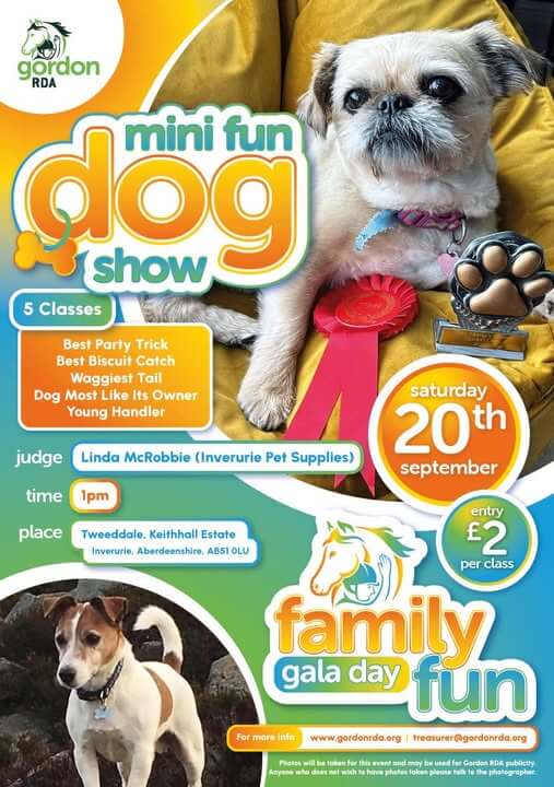 Mini fun dog show